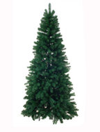 Kerstboom groen. noorse den. hgte 195cm.  homemeetsnature