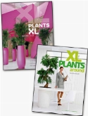 Documentatie plants extra large iii + iv  burobloemen