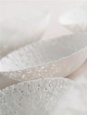 Foto van Indoor pottery bowl nest white via burobloemen