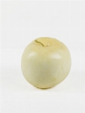 Apple giant créme (6|doos)  burobloemen