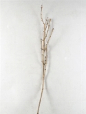 Chestnut branch (12|doos) bruin  burobloemen
