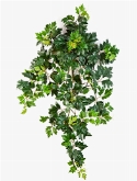 Foto van Cissus ellen danica (grape ivy) hanger via burobloemen