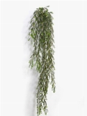 Foto van Bottlebrush hanging bush green via burobloemen