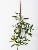 Olive spray de luxe with fruits  burobloemen