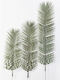 Palm leaf  burobloemen