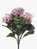 Foto van Hydrangea bush pink via burobloemen
