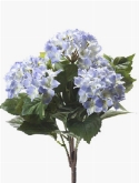 Foto van Hydrangea bush light blue via burobloemen
