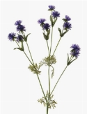 Foto van Wild flower spike purple via burobloemen