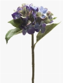 Foto van Hydrangea stem blue via burobloemen
