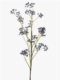 Viburnum stem blue  burobloemen