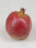 Foto van Pomegranate rood (12|doos) via burobloemen
