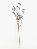 Foto van Prunus berry branch blue via burobloemen