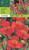 Foto van Alstroemeria rood per 2 via burobloemen