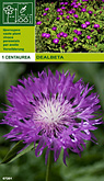 Centaurea dealbata per 1  burobloemen
