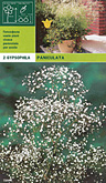 Gypsophyla paniculata per 2  burobloemen