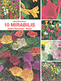 Mirabilis jalapa gemengd per 10  burobloemen