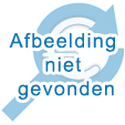 Foto van Prestige inzetplaat plantdiepte ³0cm via burobloemen